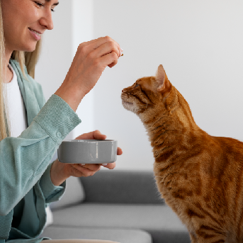 Fuente de agua para gatos con flujo constante, diseñada para fomentar la hidratación.